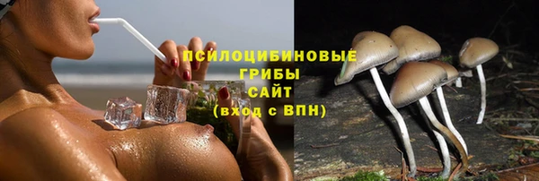 твердый Аркадак