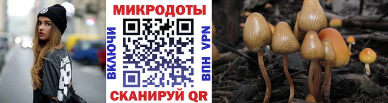 Псилоцибиновые грибы прущие грибы  Новодвинск 