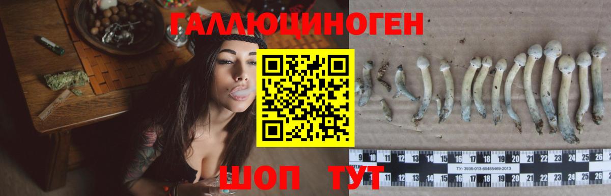 Новодвинск  где найти наркотики  Вход с VPN  Галлюциногенные грибы Cubensis 
