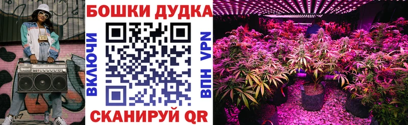 Шишки марихуана LSD WEED  Новодвинск 
